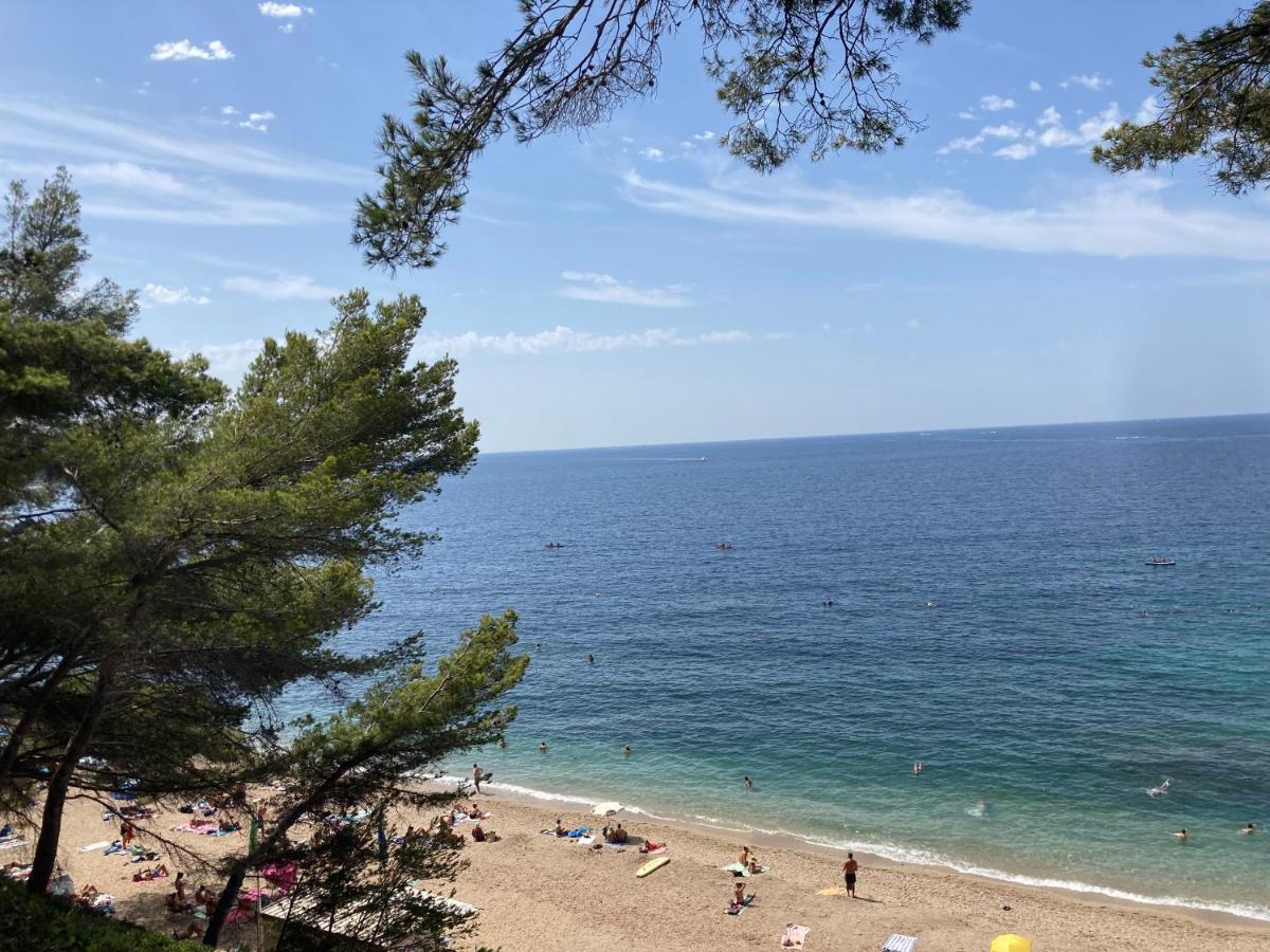 Haut De Villa Avec Terrasse Privative Jardin Et Parking Tout Pres Des Plages Toulon Dış mekan fotoğraf